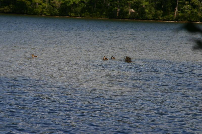 Picture 4134.jpg